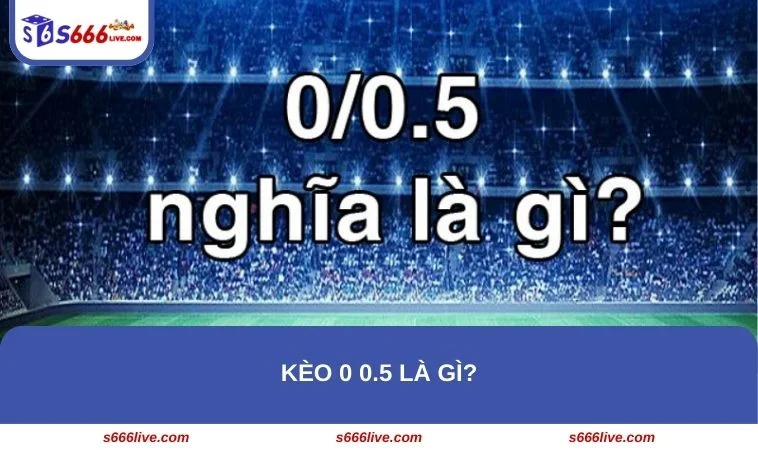 Chia sẻ chi tiết về khái niệm kèo 0 0.5 cho tân binh