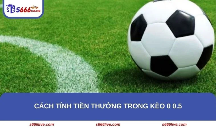 Tân binh cần nắm được cách tình tiền thưởng khi tham gia chơi kèo 0 0.5
